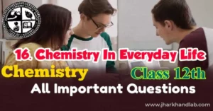 JAC 12th Chemistry Important Questions Ch16