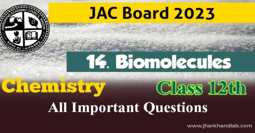 JAC 12th Chemistry Important Questions Ch14 2023 Biomolecules