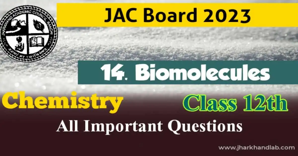 JAC 12th Chemistry Important Questions Ch14