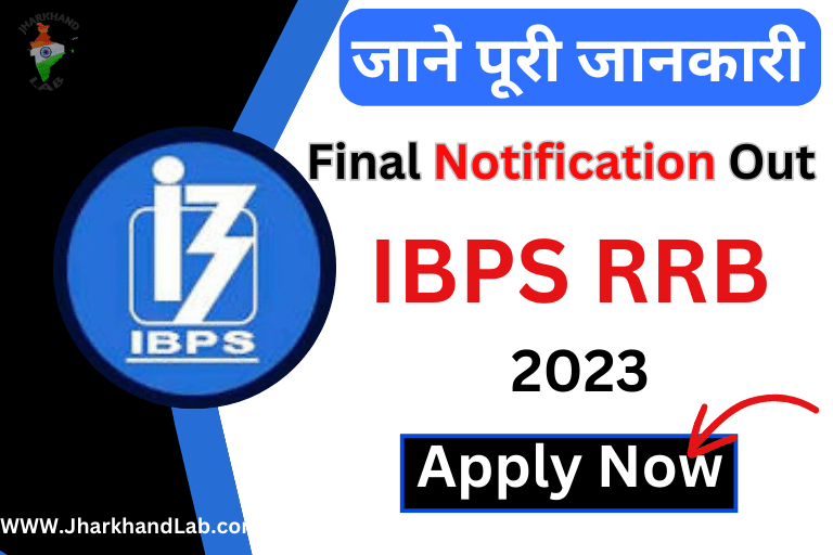 IBPS RRB Final Notification 2023 Released Apply करने से पहले जाने पूरी जानकारी